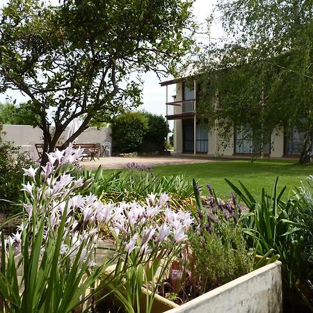 Coonawarra Motor Lodge 페놀라 외부 사진