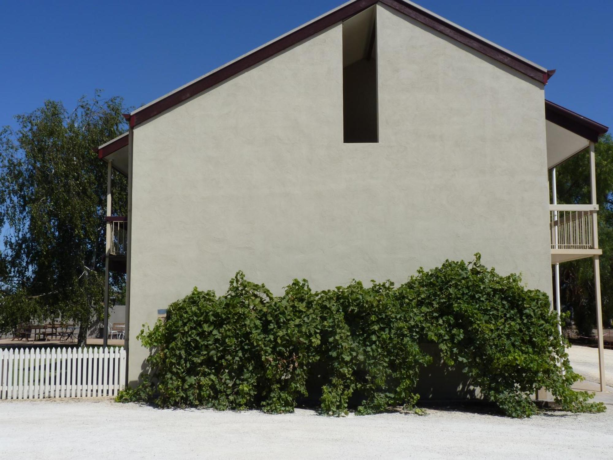 Coonawarra Motor Lodge 페놀라 외부 사진